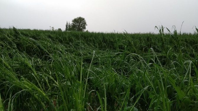 [Img #47761]