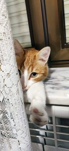 [Img #63658]