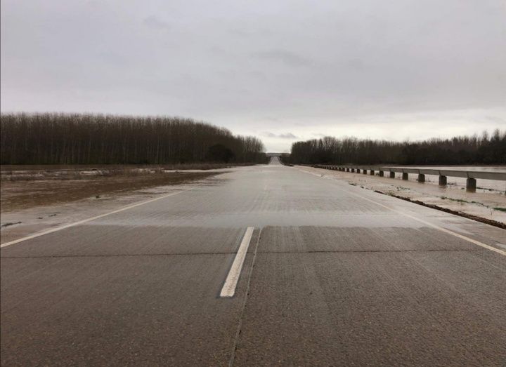 Foto:Iván del Castillo