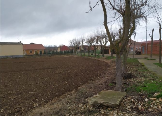 [Img #55406]