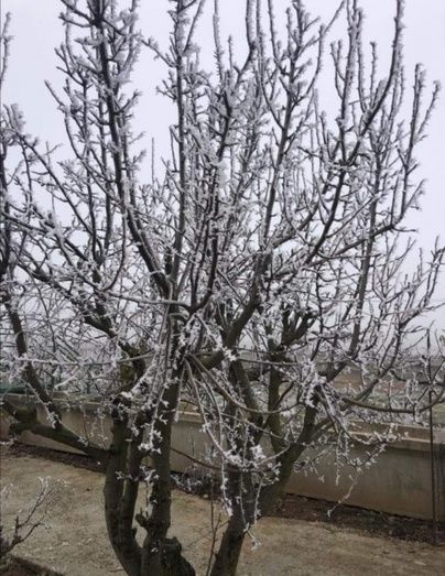 Foto: Cristina Tirados Feliz