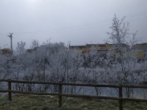 Foto: Laura Miguélez