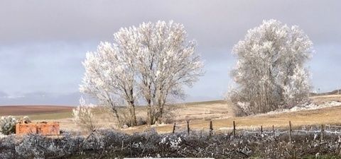 Ana María Ortega Vaquero