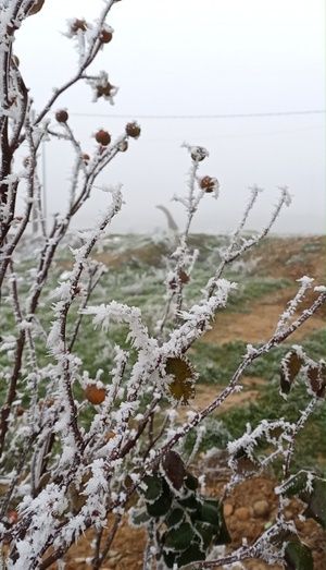 Foto: Laura Martínez