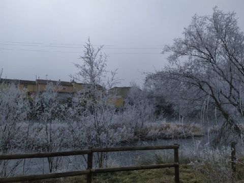 Foto: Laura Miguélez