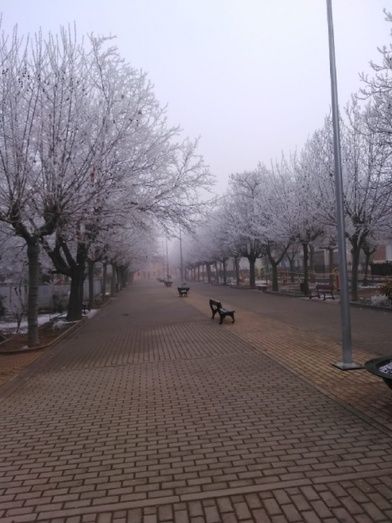 Foto: Ver&oacute;nica Alonso