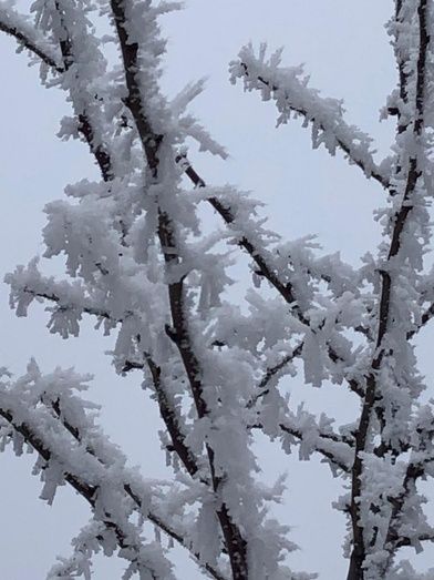 Foto: Herni Fernández Borrego