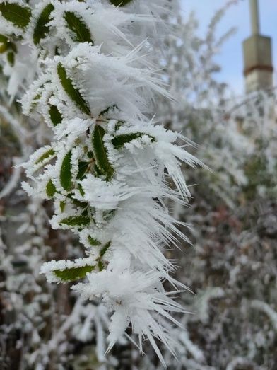 Foto: Alba Torices Blanco