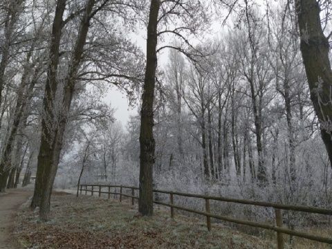 Foto: Laura Miguélez