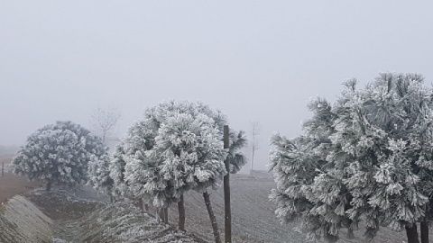 Foto: Gema Martínez