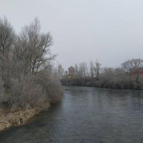 Foto: Laura Miguélez