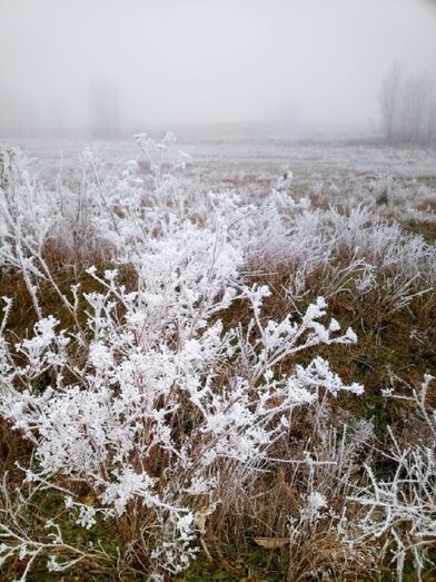 Foto: Susana Pozuelo