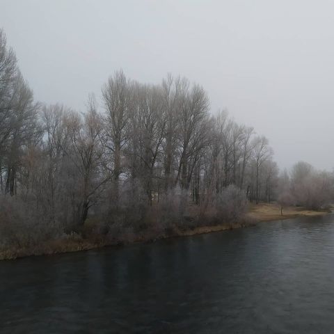 Foto: Laura Miguélez