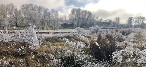 Ana María Ortega Vaquero