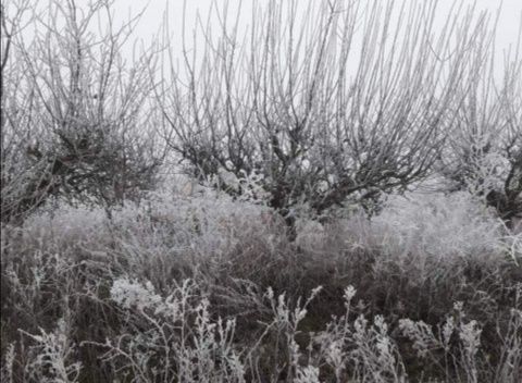 Foto: Cristina Tirados Feliz