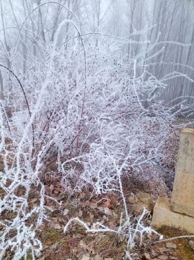 Foto: Susana Pozuelo