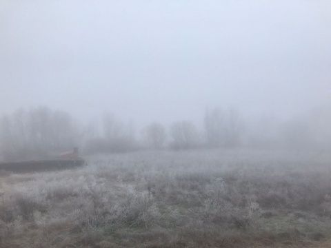 Foto: Herni Fernández Borrego