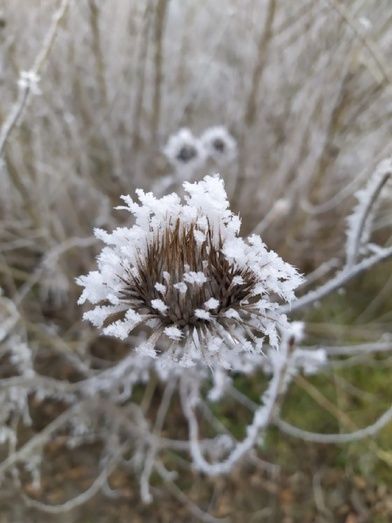 Foto: Laura Miguélez