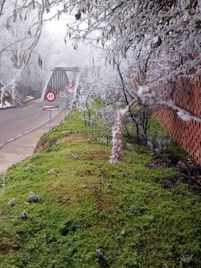 Foto: Jos&eacute; Manuel Navarro Fern&aacute;ndez