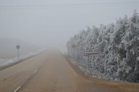 Gordoncillo.Foto: Raúl Manzano