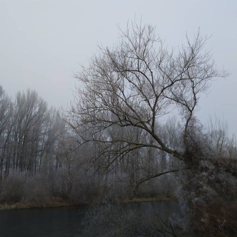 Foto: Laura Miguélez