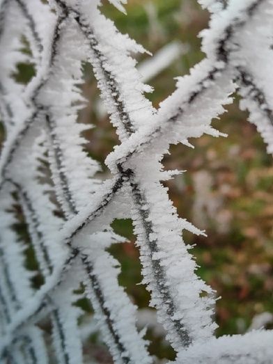 Foto: Alba Torices Blanco