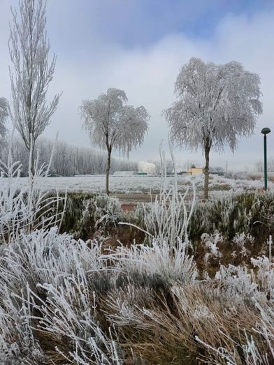 Foto: Alba Torices Blanco