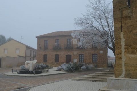 Gordoncillo. Foto: Raúl Manzano