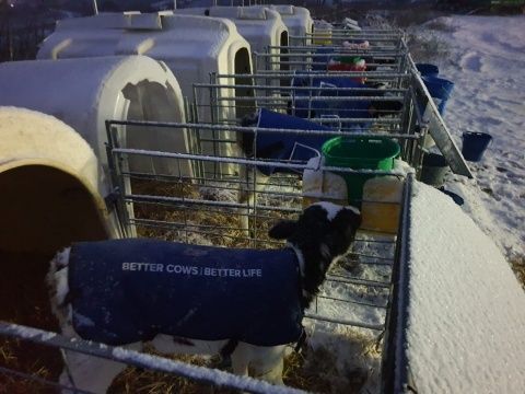 Villaquejida. Foto: Ceci Castro