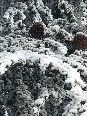 Foto: Mari Jose Fernández