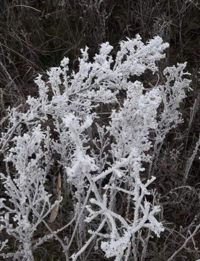Foto: Cristina Tirados Feliz