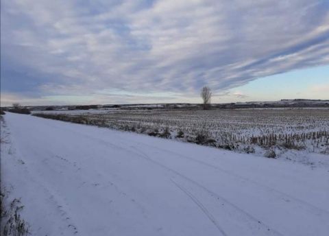 Villarrabines. Foto: Silvia Herrero