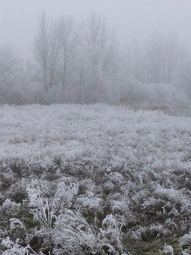 Foto: Herni Fernández Borrego