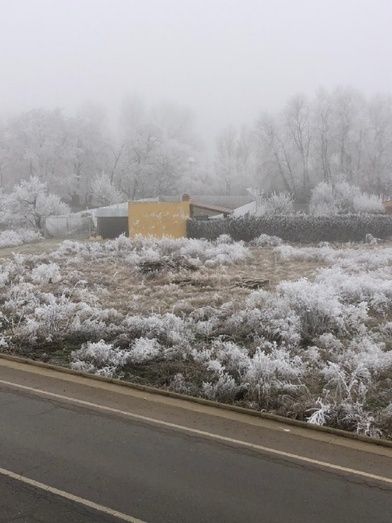 Foto: Herni Fernández Borrego