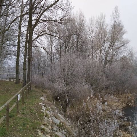 Foto: Laura Miguélez