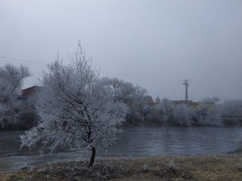 Foto: Laura Miguélez