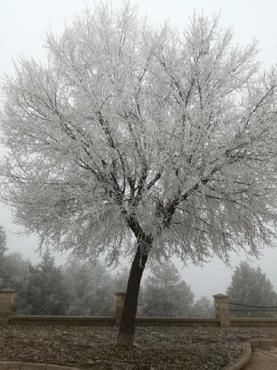 Foto: Jessica Carbajo