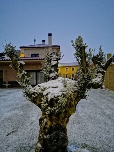 Foto: Sandra Tirados