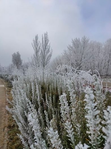Foto: Alba Torices Blanco