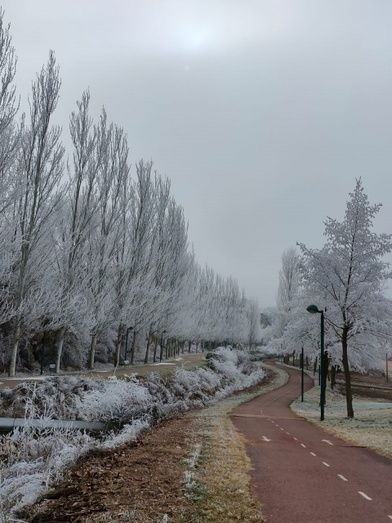 Foto: Alba Torices Blanco