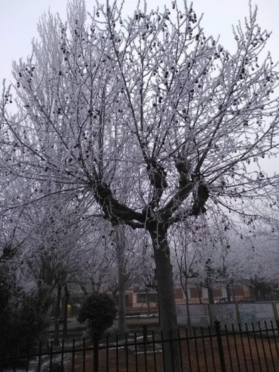 Foto: Ver&oacute;nica Alonso