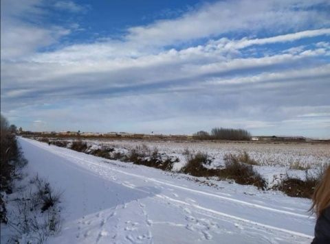 Villarrabines. Foto: Silvia Herrero
