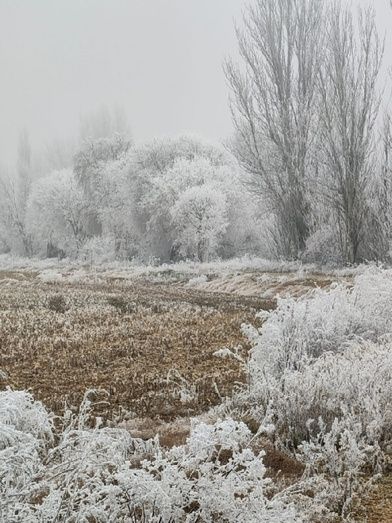 Foto: Alba Torices Blanco