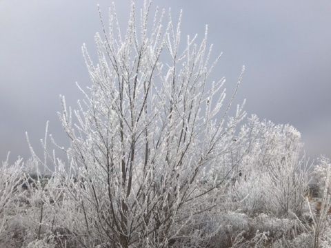 Foto: Mari Jose Fernández
