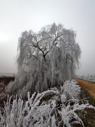 Foto: Alba Torices Blanco