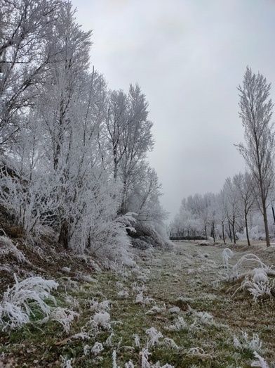 Foto: Alba Torices Blanco