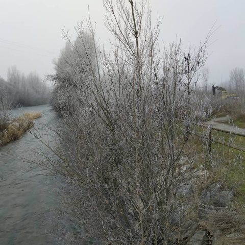 Foto: Laura Miguélez