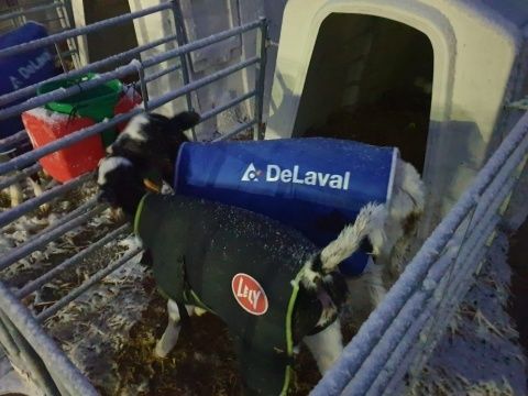 Villaquejida. Foto: Ceci Castro