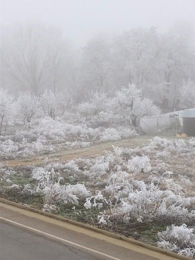 Foto: Herni Fernández Borrego