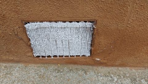 Foto: Alejandra Alonso